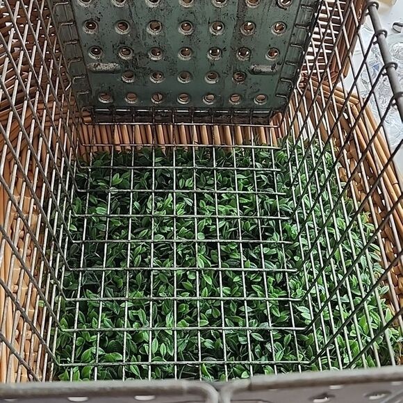Vintage Washburn Co #637 Locker Room/Pool Metal Wire Basket - Picture 11 of 12